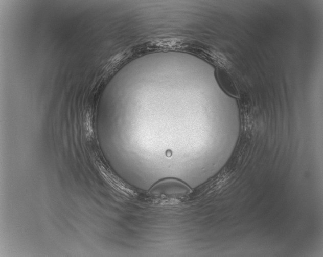 X0000051251106200507082143