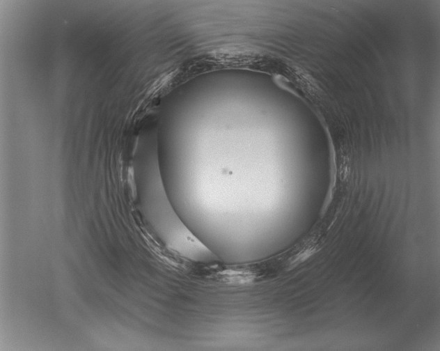 X0000051251108200507082143