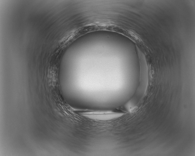 X0000051251110200507082143