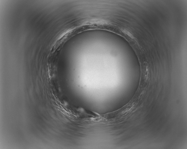 X0000051251112200507082143