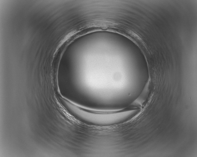 X0000051251114200507082143