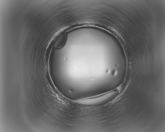 X0000051251117200507082143