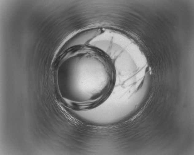 X0000051251118200507082143