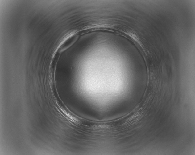 X0000051251119200507082143