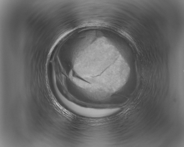 X0000051251120200507082143