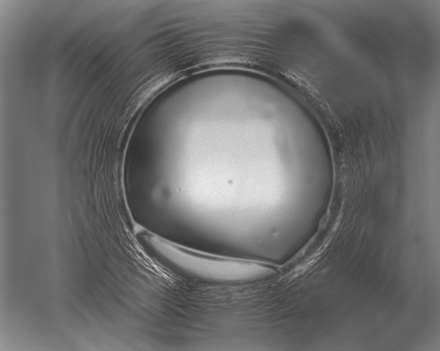 X0000051251121200507082143