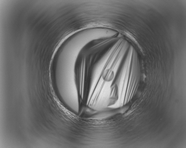 X0000051251124200507082143