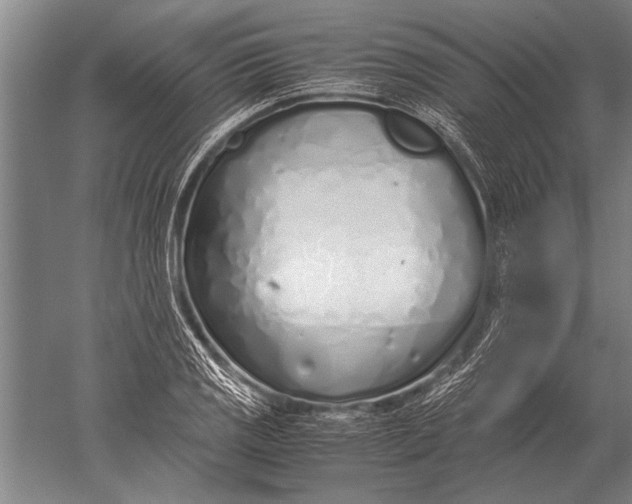 X0000051251125200507082143