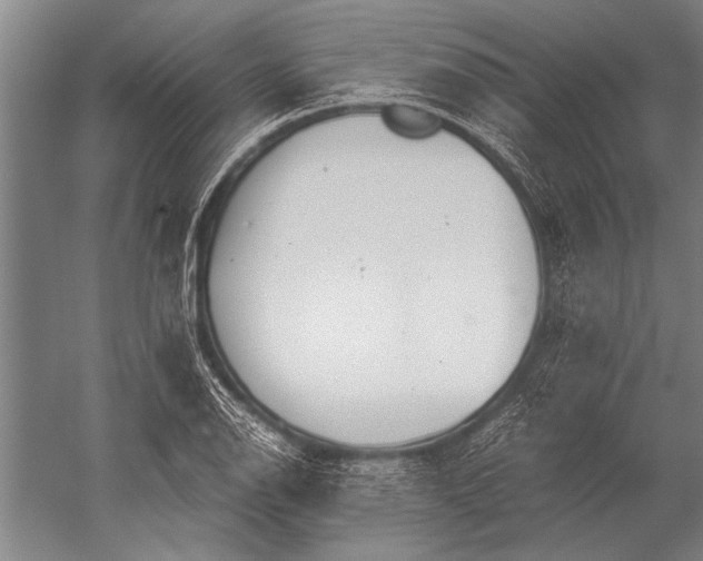 X0000051251126200507082143