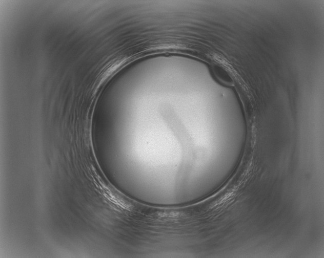 X0000051251129200507082143