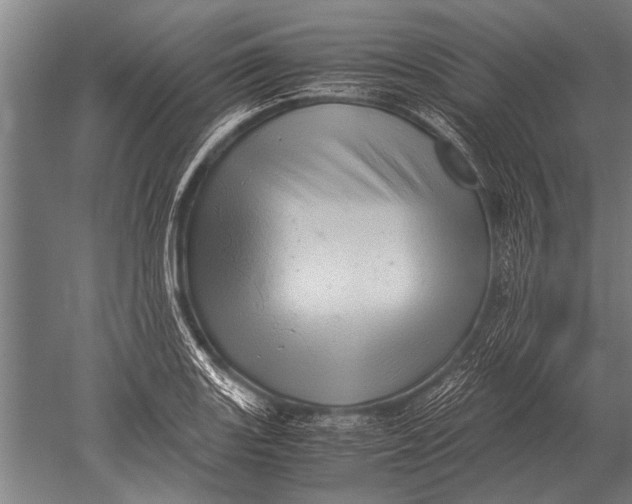 X0000051251131200507082143