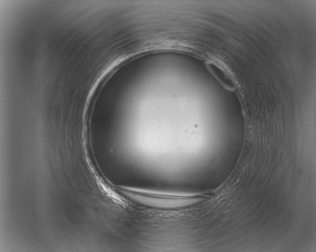 X0000051251136200507082143