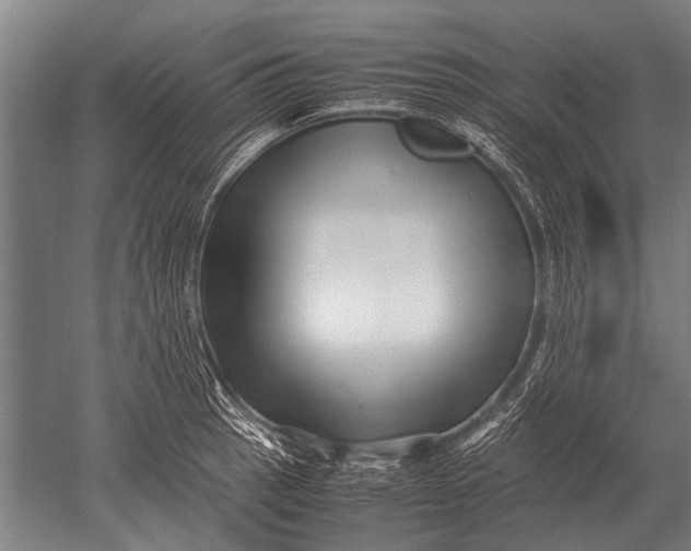 X0000051251137200507082143