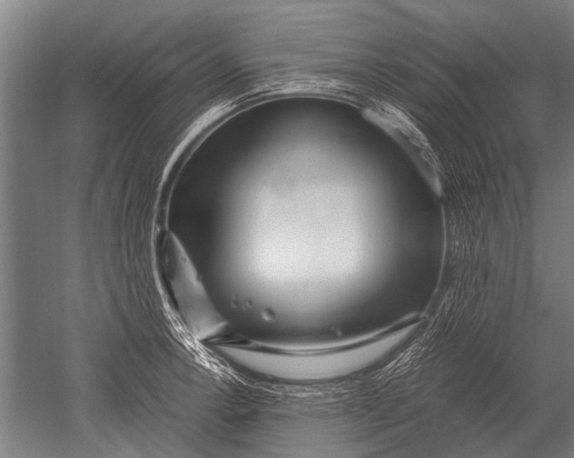 X0000051251138200507082143