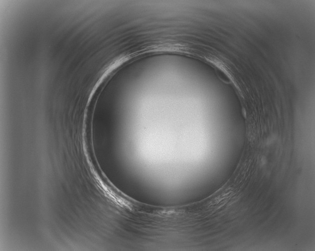 X0000051251139200507082143