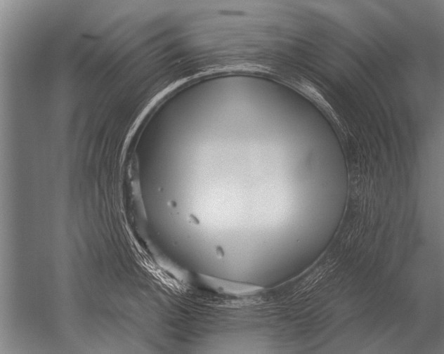 X0000051251140200507082143