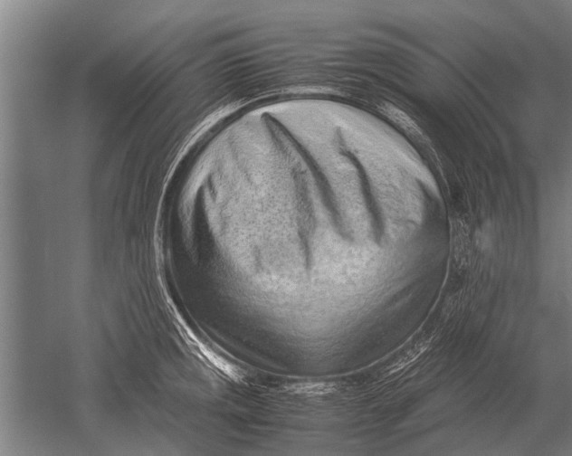 X0000051251141200507082143