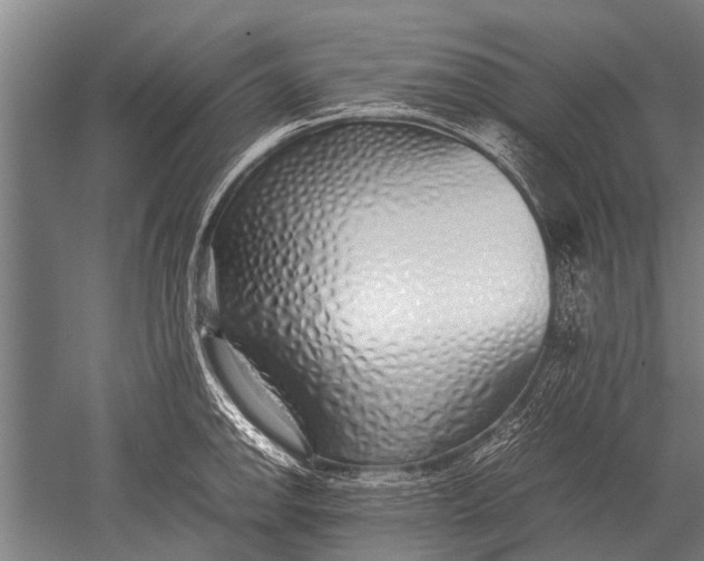 X0000051251142200507082143