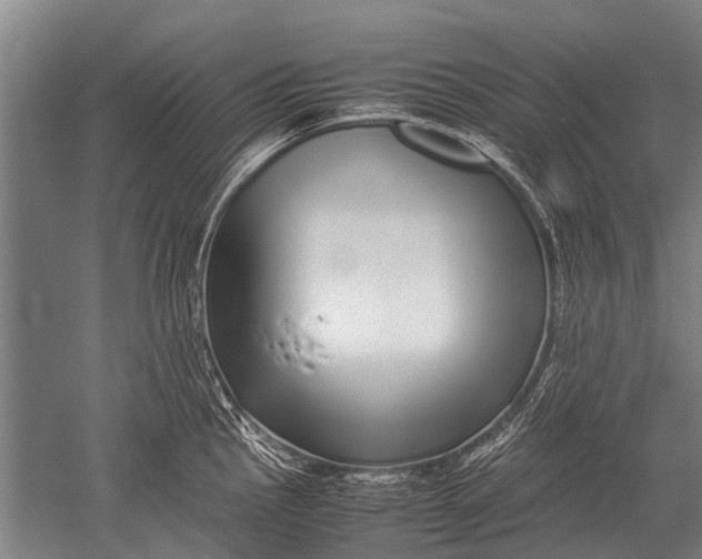 X0000051251145200507082143