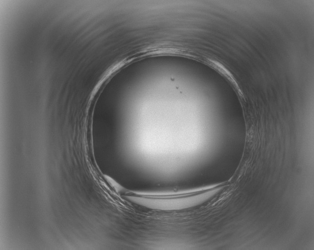 X0000051251146200507082143