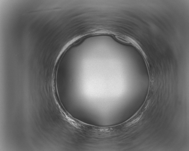 X0000051251149200507082143