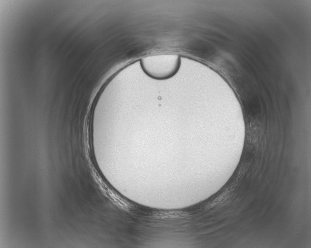 X0000051251150200507082143