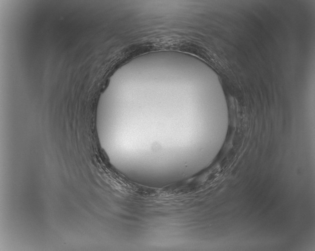 X0000051251153200507082143