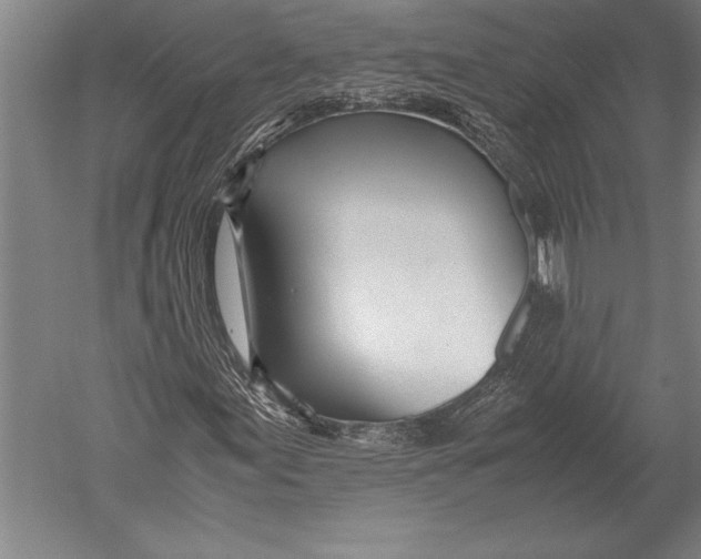 X0000051251155200507082143