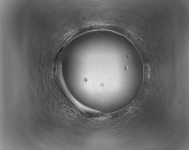 X0000051251157200507082143