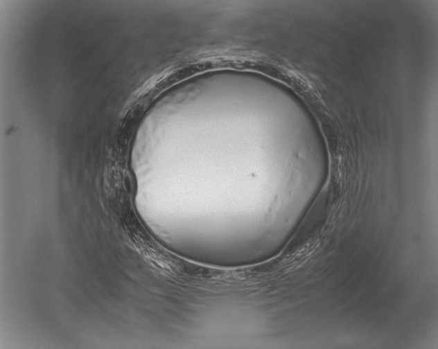 X0000051251159200507082143