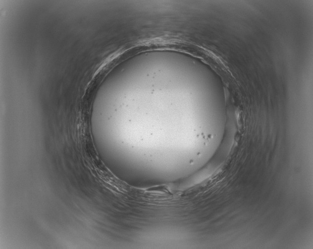 X0000051251160200507082143