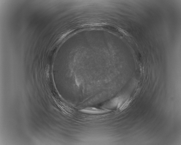 X0000051251161200507082143