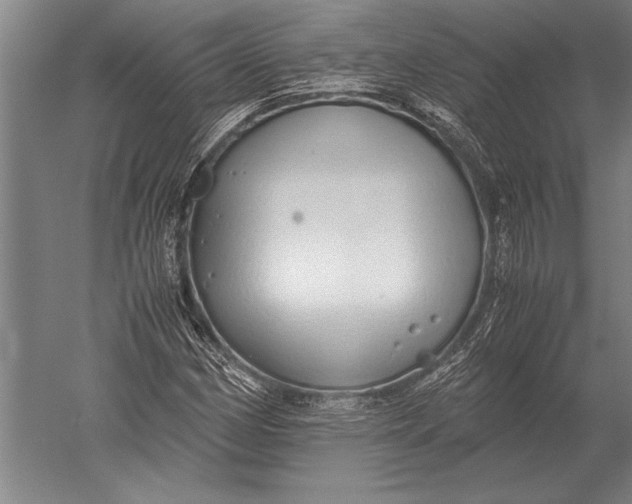 X0000051251162200507082143