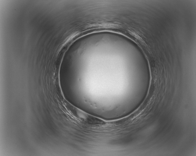 X0000051251163200507082143