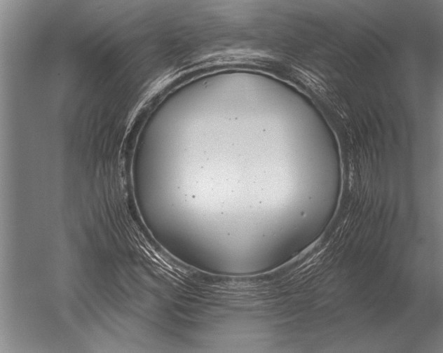 X0000051251164200507082142