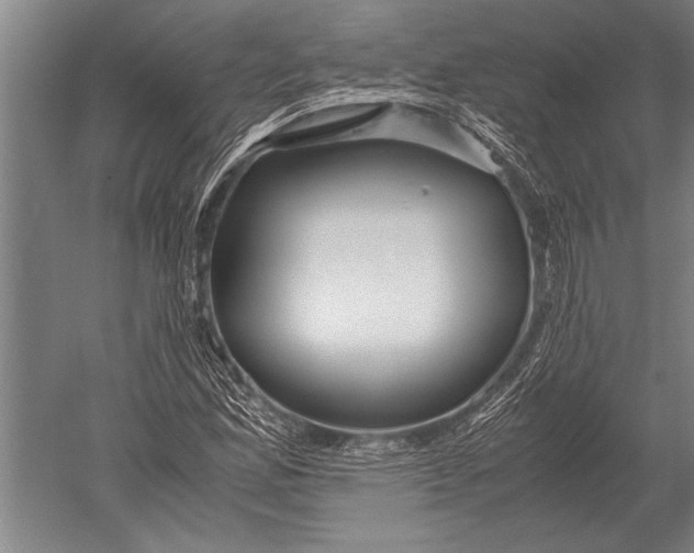 X0000051251165200507082142