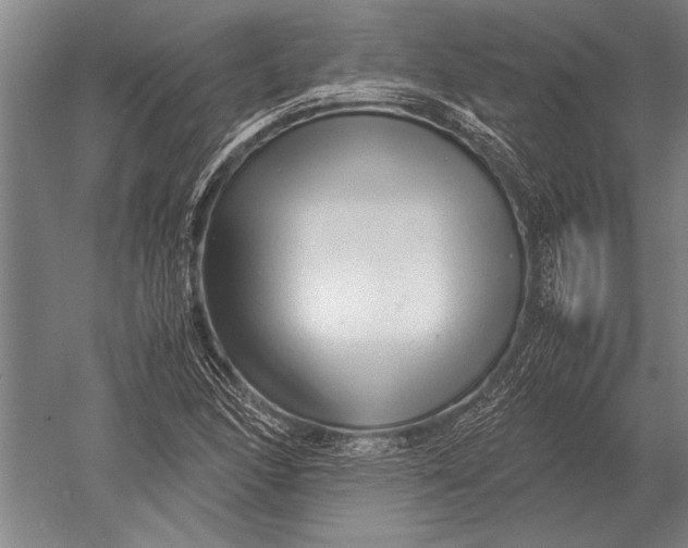 X0000051251166200507082142