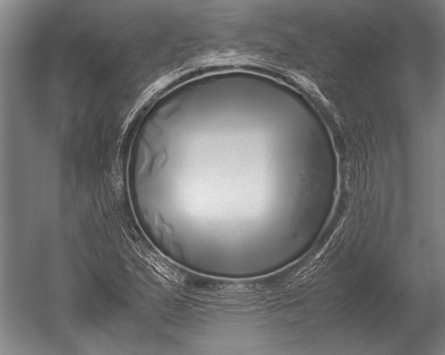 X0000051251167200507082142