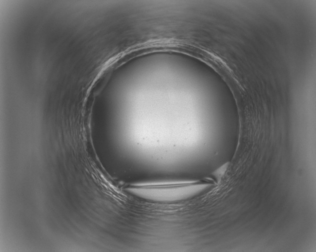 X0000051251168200507082142