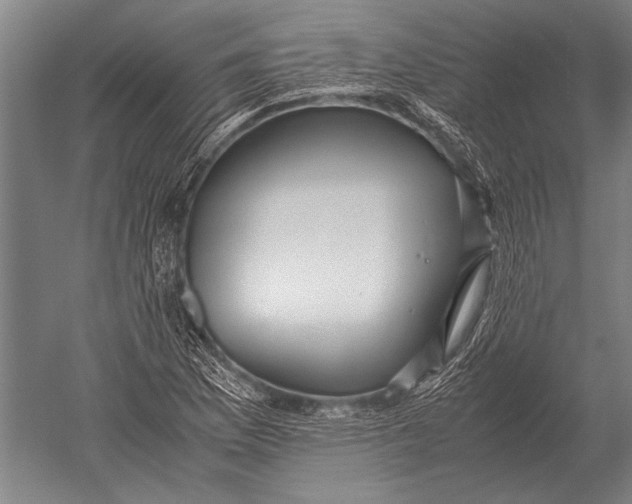 X0000051251169200507082142