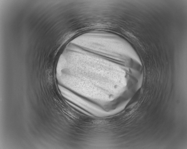 X0000051251170200507082142