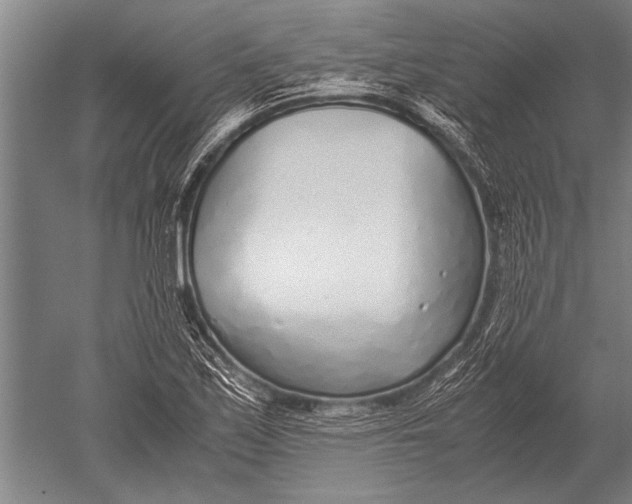 X0000051251171200507082142