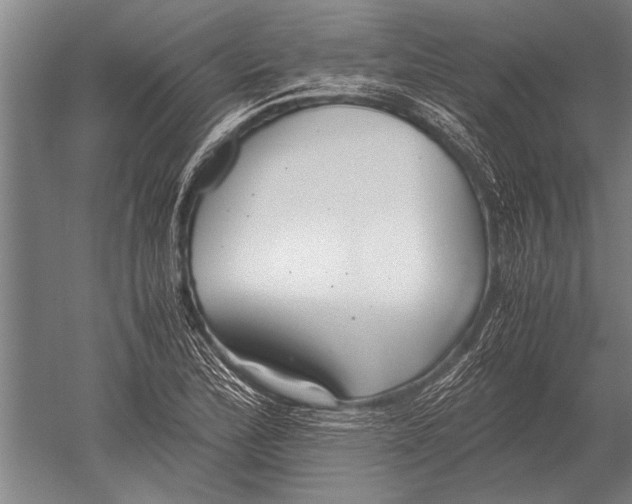 X0000051251172200507082142