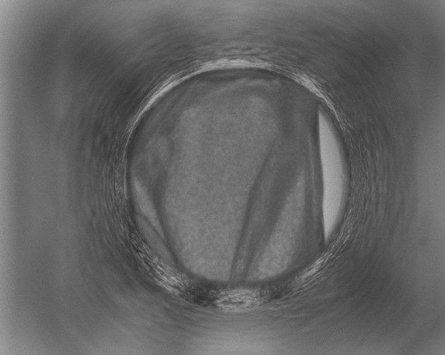 X0000051251173200507082142