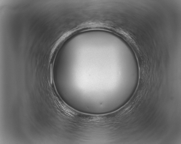 X0000051251175200507082142