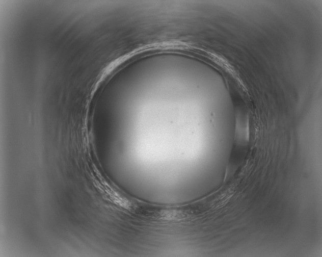 X0000051251176200507082142