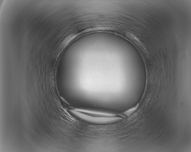 X0000051251177200507082142