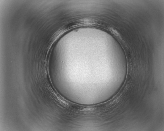 X0000051251178200507082142