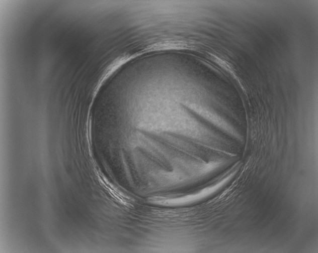 X0000051251179200507082142