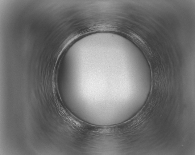 X0000051251182200507082142